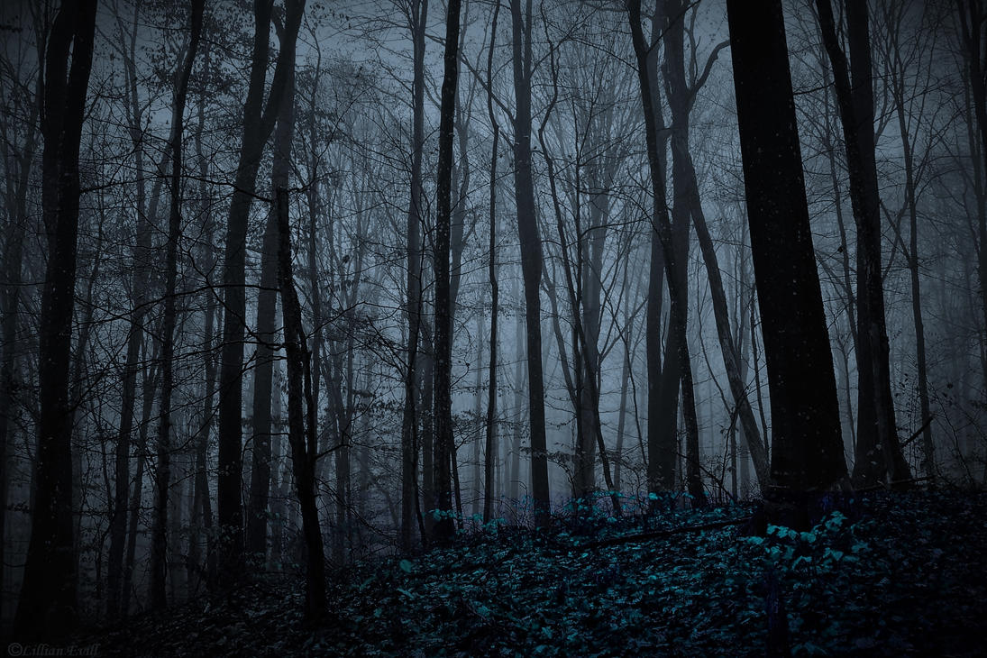 night_forest_by_lillianevill-d752tgm.jpg