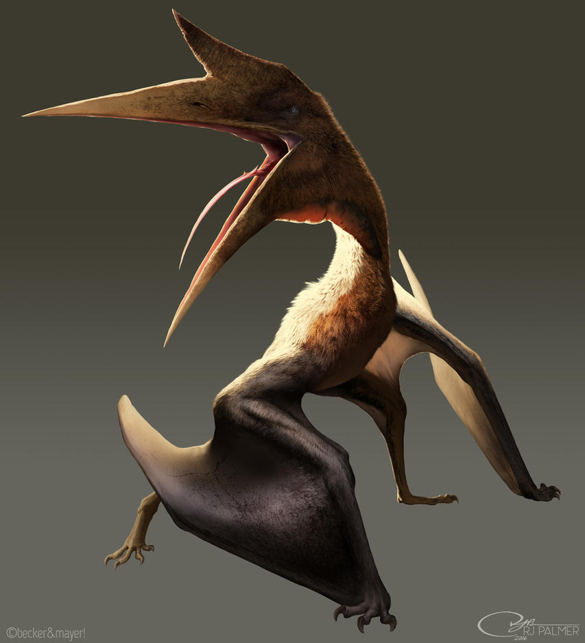Quetzalcoatlus 5e Creature D D Wiki