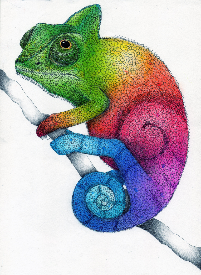 Rainbow Chameleon Color Pencil Drawing by Karen754 on DeviantArt